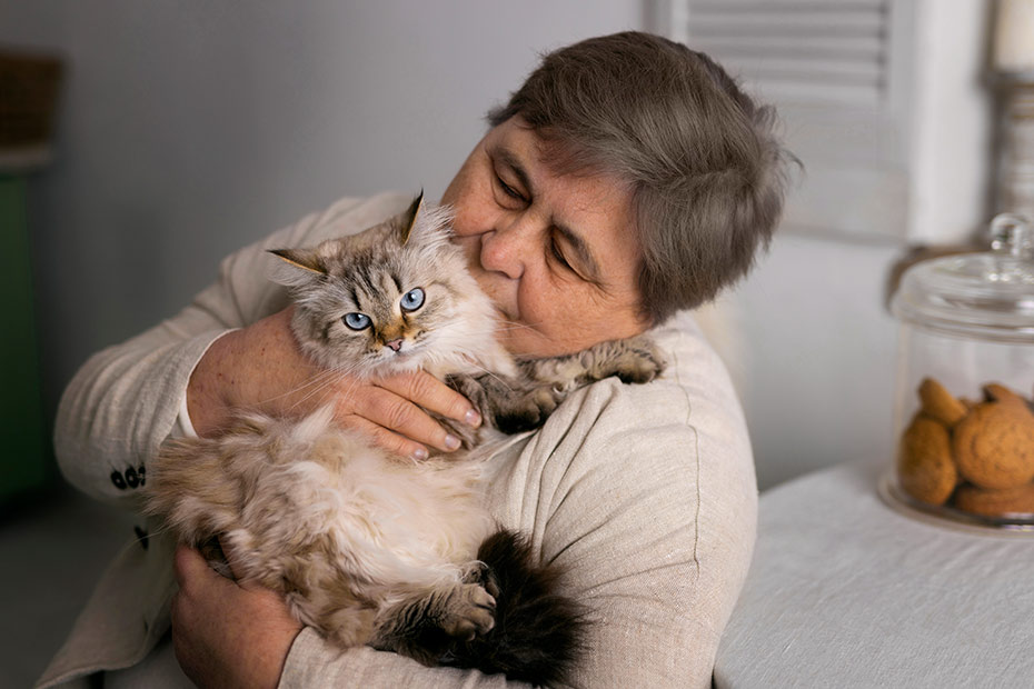 salud emocional con gatos